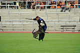 Boyd's Bullriding Glenmore