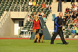 Royal workers Henri