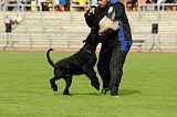 Paul vom Dammkrug