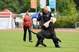 Eyk vom Lindelbrunn