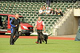 D'Zidane vom Hatzbachtal