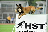 Alto Veranis K-9 Dog Center