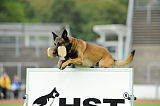 Alto Veranis K-9 Dog Center
