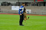 Alto Veranis K-9 Dog Center
