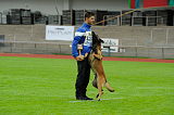 Alto Veranis K-9 Dog Center
