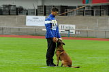 Alto Veranis K-9 Dog Center