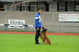 Alto Veranis K-9 Dog Center