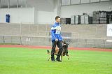 Alto Veranis K-9 Dog Center