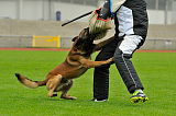Alto Veranis K-9 Dog Center