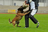 Alto Veranis K-9 Dog Center