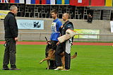 Alto Veranis K-9 Dog Center