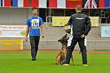 Alto Veranis K-9 Dog Center