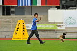 Alto Veranis K-9 Dog Center