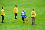 Alma Veranis K-9 Dog Center
