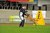 Alma Veranis K-9 Dog Center