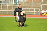 Jezebell 't Palmaleinehof