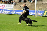 Ice vom Haus TTH