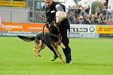 Keno von der Kolonie