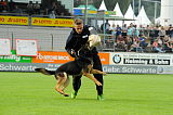 Keno von der Kolonie