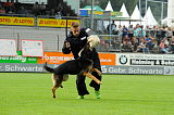 Keno von der Kolonie