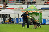 Djuke vom Steinteich