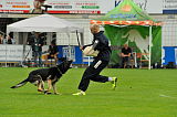 Djuke vom Steinteich