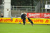 Djuke vom Steinteich
