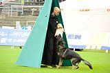 Juri von Metunaj