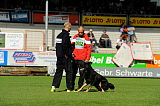 Zorro von der Mordschau