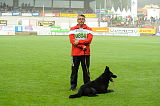 B'dog vom Eichbaum