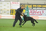 B'dog vom Eichbaum