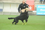 B'dog vom Eichbaum