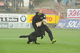 B'dog vom Eichbaum