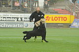 B'dog vom Eichbaum
