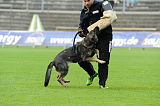 Elfe vom Black Power