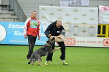 Elfe vom Black Power