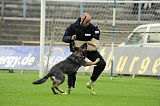 Elfe vom Black Power