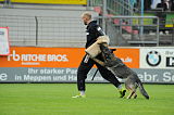 Elfe vom Black Power