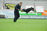 Chary vom Wolfsdreieck