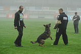 Doug von Ankenrütt