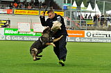 Gino von der Roggenstraße