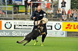 Gino von der Roggenstraße