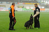 Hank vom schwarzen Bär