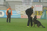 Hank vom schwarzen Bär