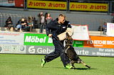 Gerry vom Waisagrund