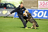 Gerry vom Waisagrund