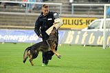 Aly von der Pflochsbacher Schmiede