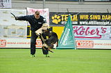 Aly von der Pflochsbacher Schmiede
