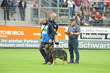 Aly von der Pflochsbacher Schmiede