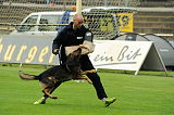Aly von der Pflochsbacher Schmiede